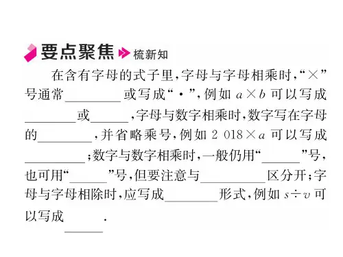 2.1 用字母表示数