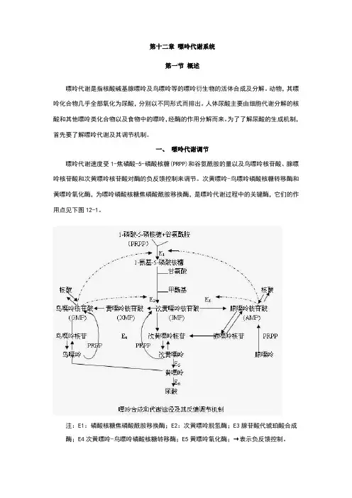 第十二章_嘌呤代谢最终版本_王忠超、孙晓娟