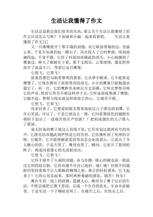 生活让我懂得了作文