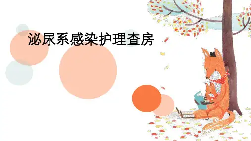 泌尿系感染护理查房ppt课件