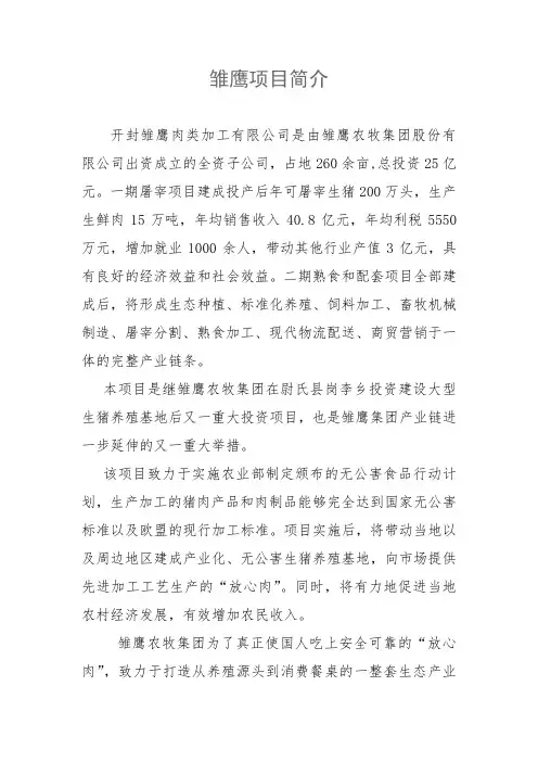 雏鹰项目简介