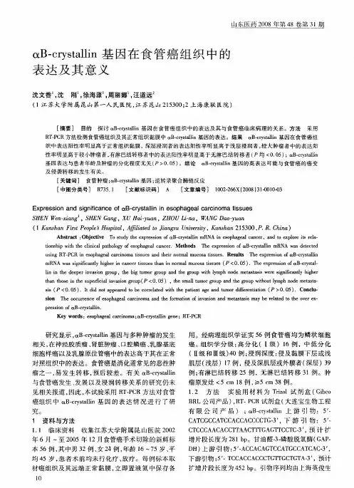 αB-crystallin基因在食管癌组织中的表达及其意义