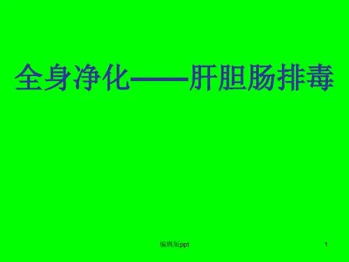全身净化肝胆肠排毒PPT课件