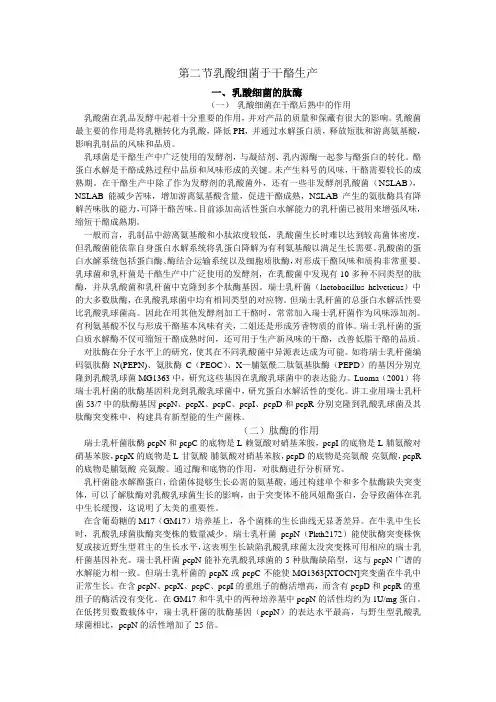 乳酸细菌于干酪生产