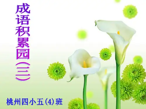 成语积累园3PPT优选课件