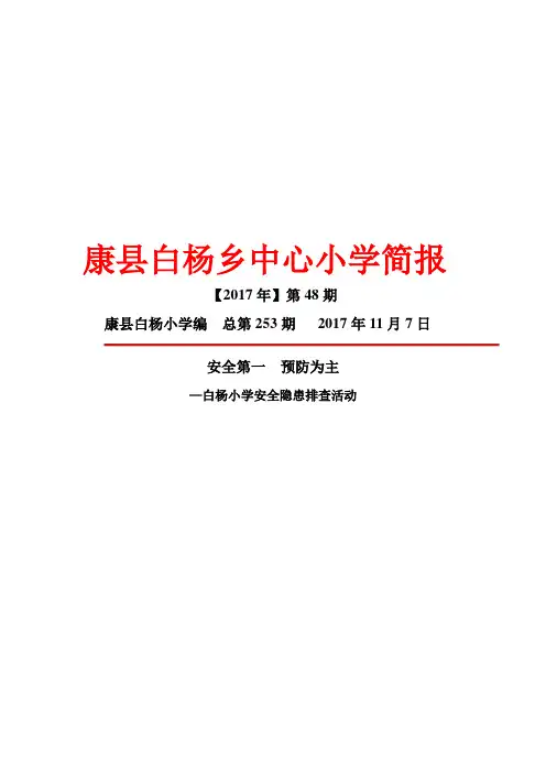 校园安全隐患排查简报30