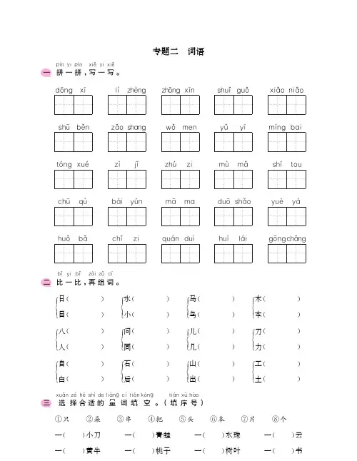 新部编版一年级语文上册期末基础专项训练:专题二词语