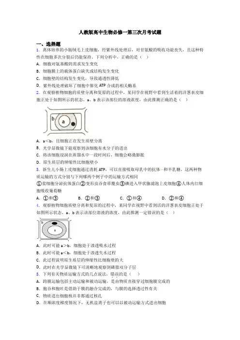 人教版高中生物必修一第三次月考试题