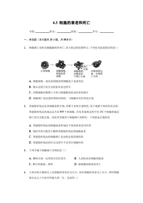 6.3 细胞的衰老和死亡 练习【新教材】人教版(2019)高中生物必修一