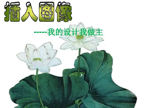初中信息技术优质课课件