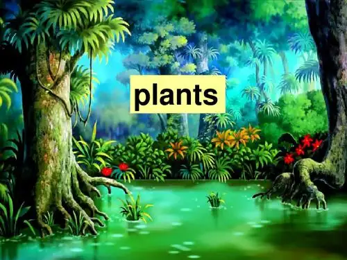 unit 6 plants