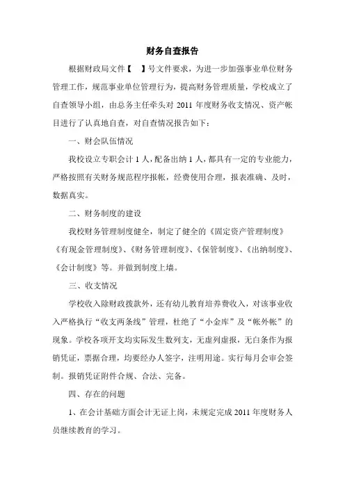 财务自查报告
