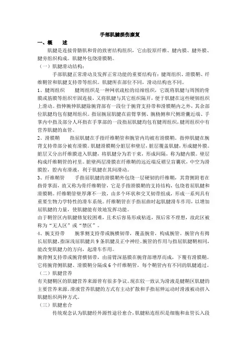 手部肌腱损伤康复