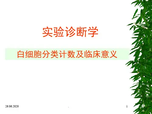 白细胞分类计数及临床意义(课堂PPT)