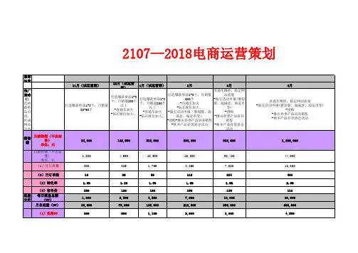 2017-2018淘宝天猫电商运营计划服饰运营方案案例