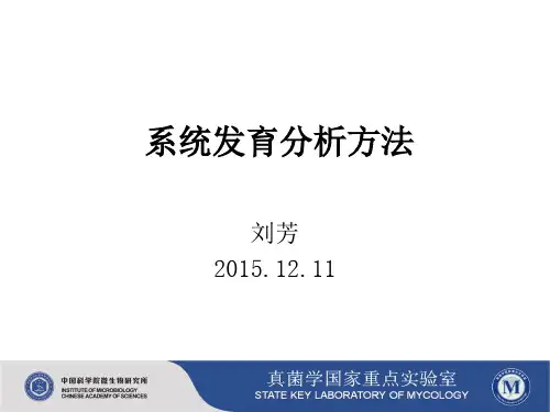 系统发育分析方法