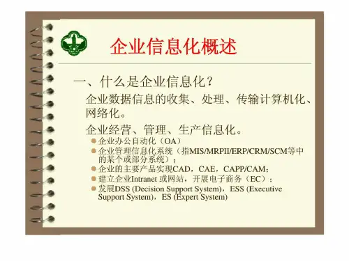 企业信息化概述