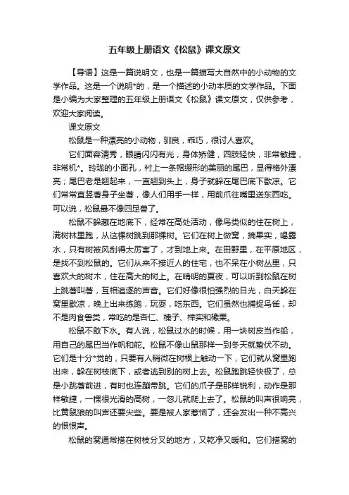 五年级上册语文《松鼠》课文原文