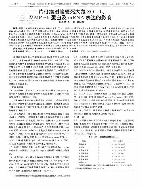 片仔癀对脑梗死大鼠ZO-1、MMP-9蛋白及mRNA表达的影响