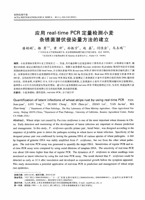 应用real-time PCR定量检测小麦条锈菌潜伏侵染量方法的建立