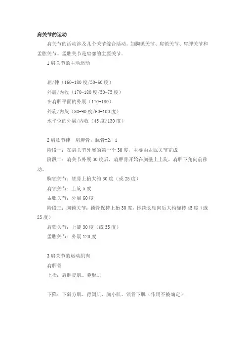 肩关节的运动