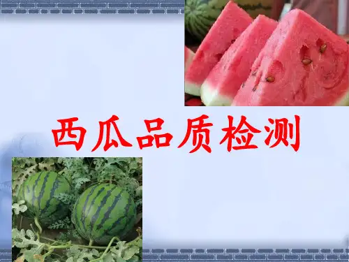 西瓜品质检测