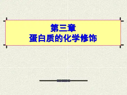 第三章 蛋白质的化学修饰