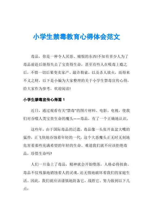 小学生禁毒教育心得体会范文