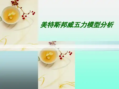 美特斯邦威五力模型分析