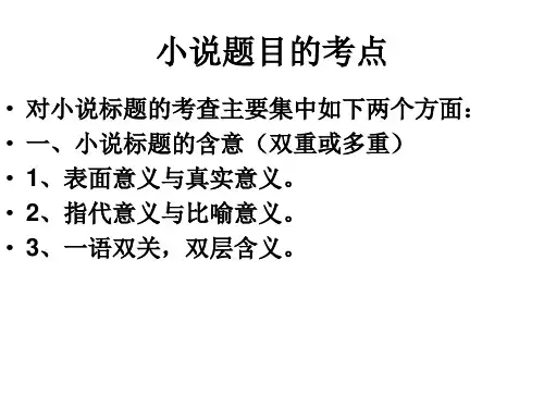 小说标题