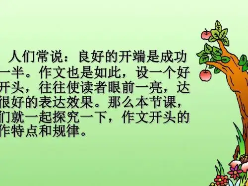 作文开头专题