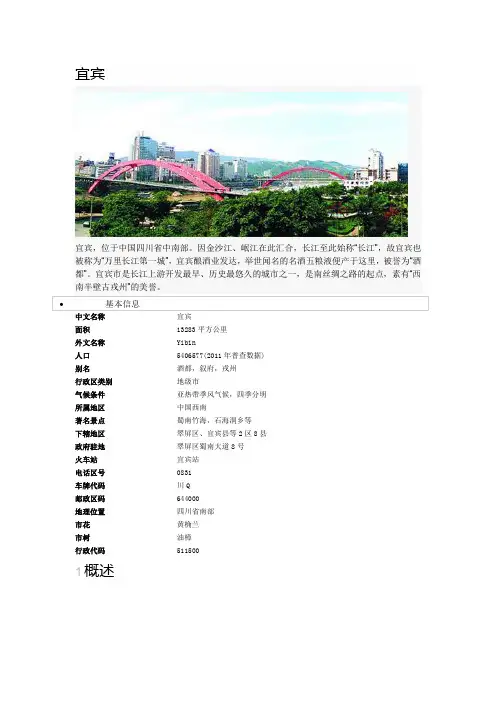 地方地理--宜宾(2)