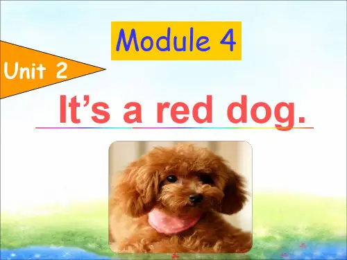 一年级上册英语课件-Module 4 Unit 2 It's a red dog 1|外研社(一起)(共19张PPT)