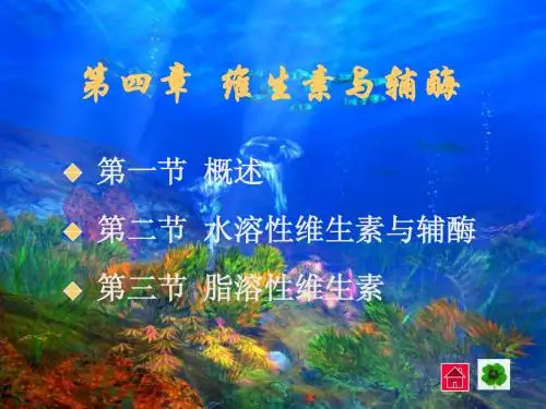 第四章维生素与辅酶