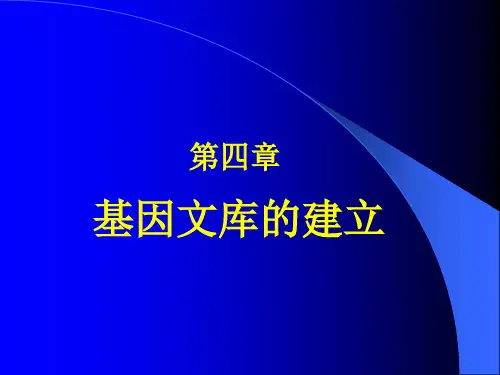 怎样构建基因组文库