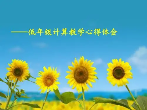低年级学生的计算能力