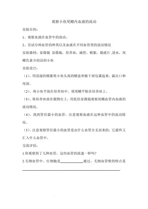 观察小鱼尾鳍内血液的流动(初中生物实验教案)
