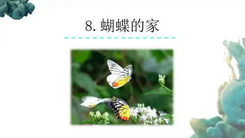 部编人教版四年级上册语文《8 蝴蝶的家》PPT课件