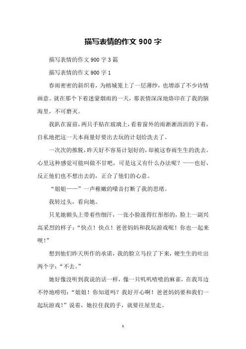 描写表情的作文900字