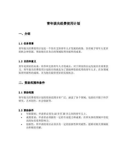 青年拔尖经费使用计划