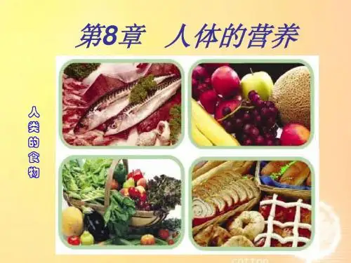 第八章 人体的营养