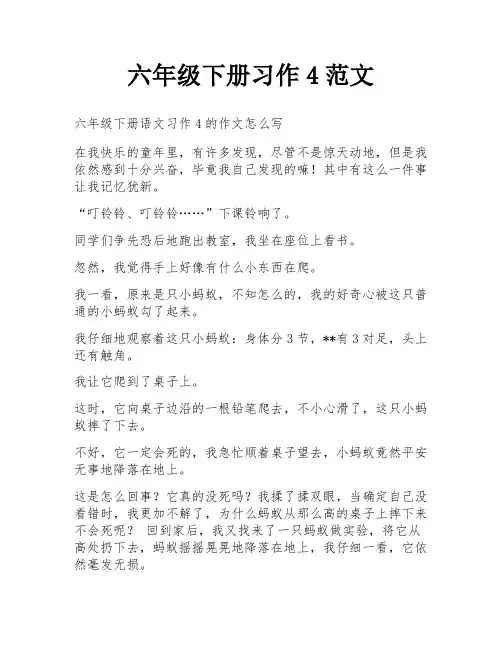 六年级下册习作4范文