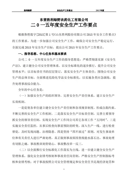 2015年度安全生产工作要点