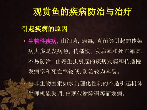 常见观赏鱼的病害防治 PPT