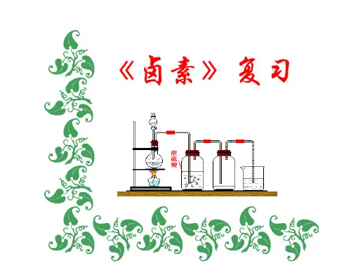 最新-高三化学最新课件高三复习卤素复习  精品