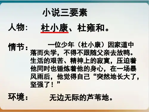 人教部编版语文九上《孤独之旅》优质课件