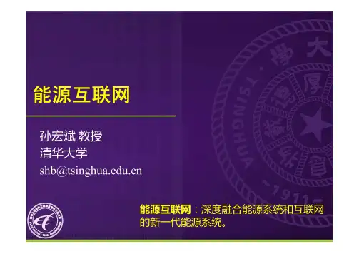 孙宏斌 能源互联网(中文简版)