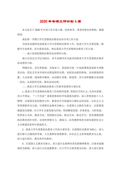 2020年专项工作计划4篇