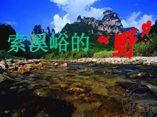 索溪峪的野