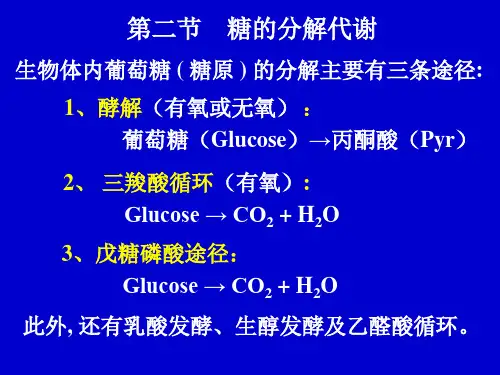 糖酵解